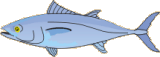 poisson